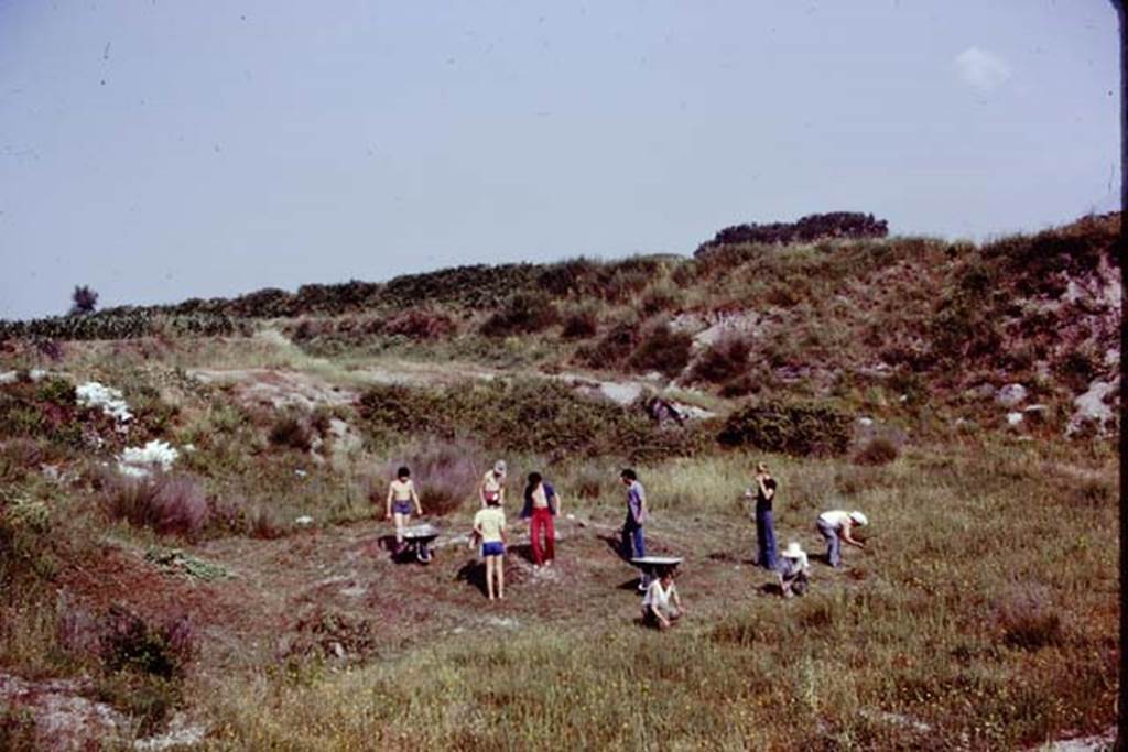 III.7 Pompeii. 1976. Clearing along the north side of area, looking north-west. Photo by Stanley A. Jashemski.   
Source: The Wilhelmina and Stanley A. Jashemski archive in the University of Maryland Library, Special Collections (See collection page) and made available under the Creative Commons Attribution-Non Commercial License v.4. See Licence and use details. J76f0311
