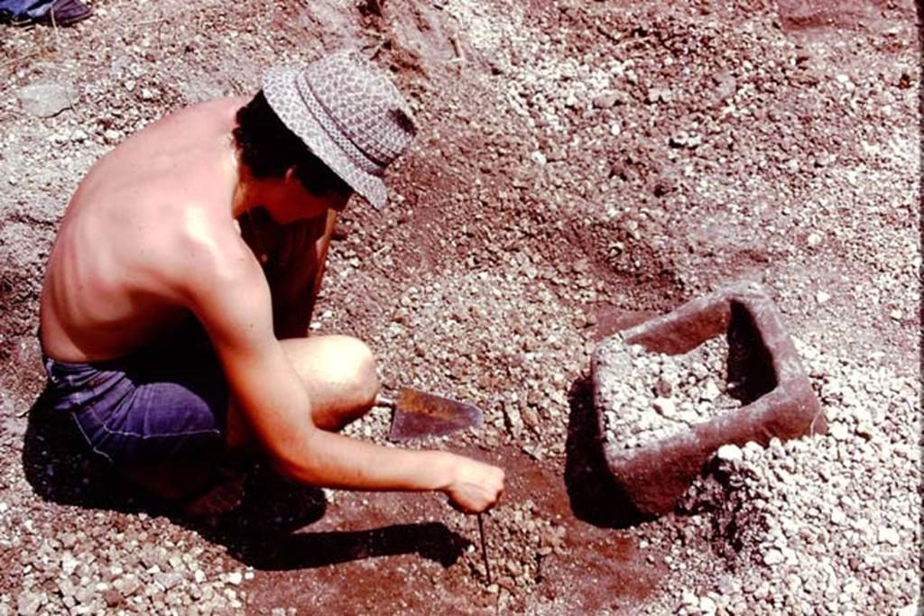 III.7 Pompeii. 1976. Cleaning a root cavity. Photo by Stanley A. Jashemski.   
Source: The Wilhelmina and Stanley A. Jashemski archive in the University of Maryland Library, Special Collections (See collection page) and made available under the Creative Commons Attribution-Non Commercial License v.4. See Licence and use details. J76f0329
