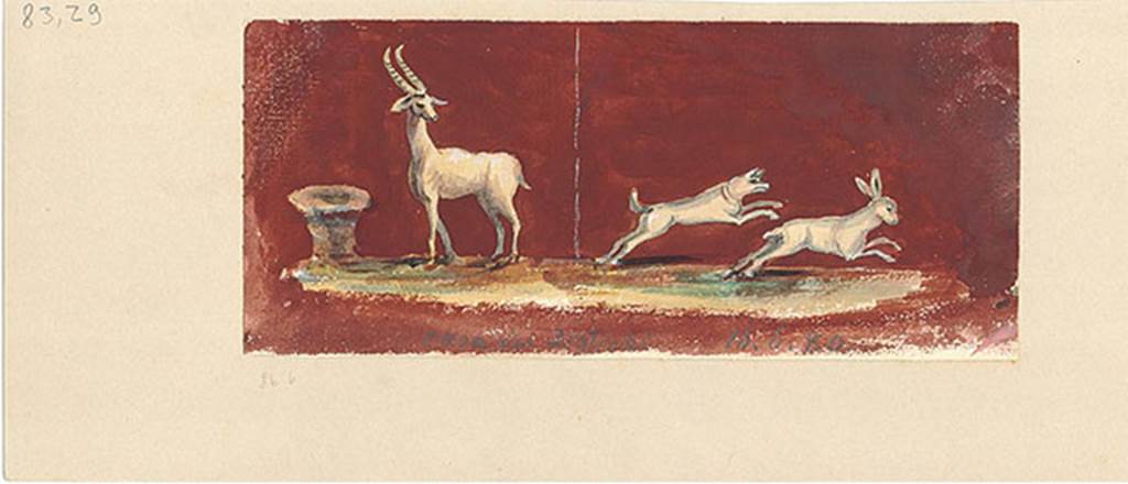 V.1.18 Pompeii. Copy of wall painting of goat [Bock] and a dog chasing a hare, from Ala “e”.
DAIR 83.29 Photo © Deutsches Archäologisches Institut, Abteilung Rom, Arkiv. 
See http://arachne.uni-koeln.de/item/marbilder/5022205
