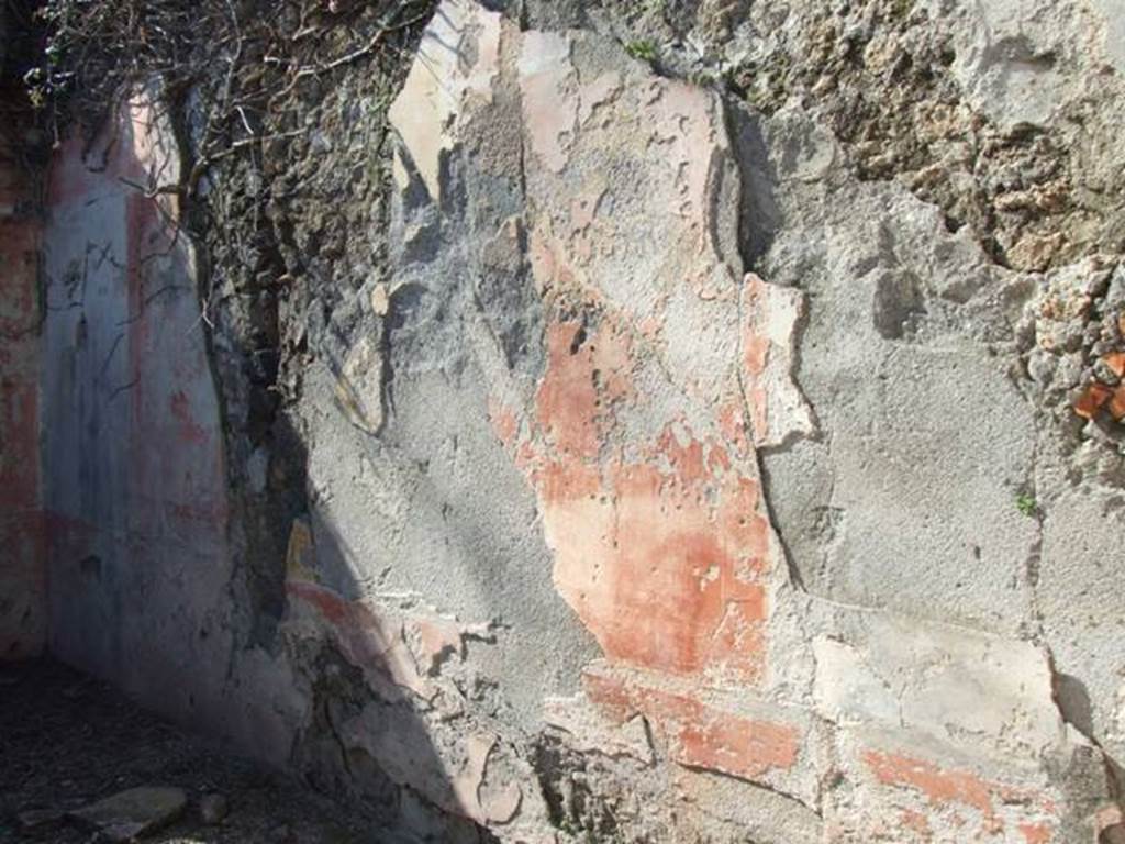 V.3.10 Pompeii. March 2009. North wall of cubiculum.  