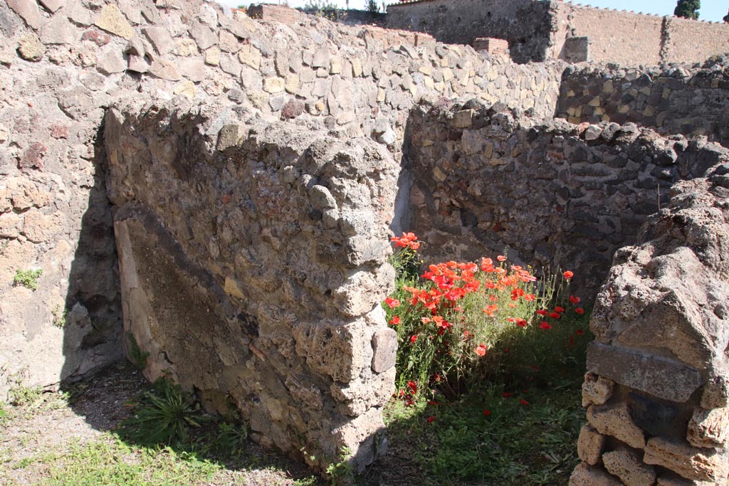 VI.1.5 Pompeii. May 2024. Looking north-east towards doorway to room against north wall. Photo courtesy of Klaus Heese.