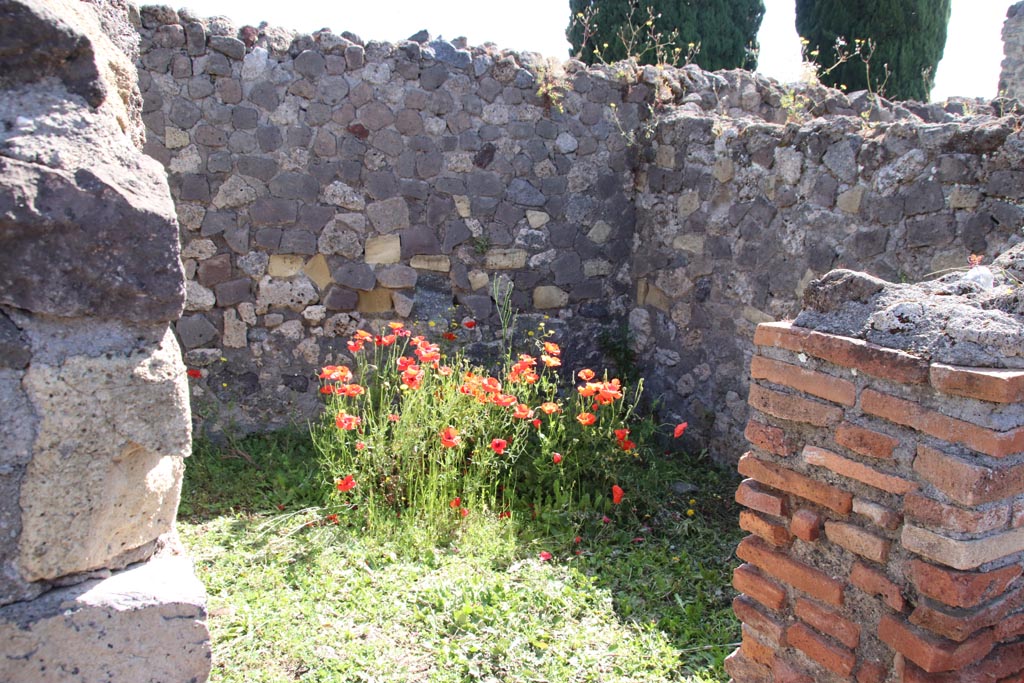 VI.1.5 Pompeii. May 2024. 
Looking east through doorway into room against east wall in north-east corner. Photo courtesy of Klaus Heese.
