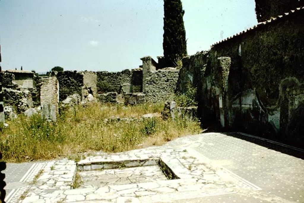 VI.1.7 Pompeii. 1957. Looking east across impluvium in atrium. Photo by Stanley A. Jashemski.
Source: The Wilhelmina and Stanley A. Jashemski archive in the University of Maryland Library, Special Collections (See collection page) and made available under the Creative Commons Attribution-Non Commercial License v.4. See Licence and use details.
J57f0176
