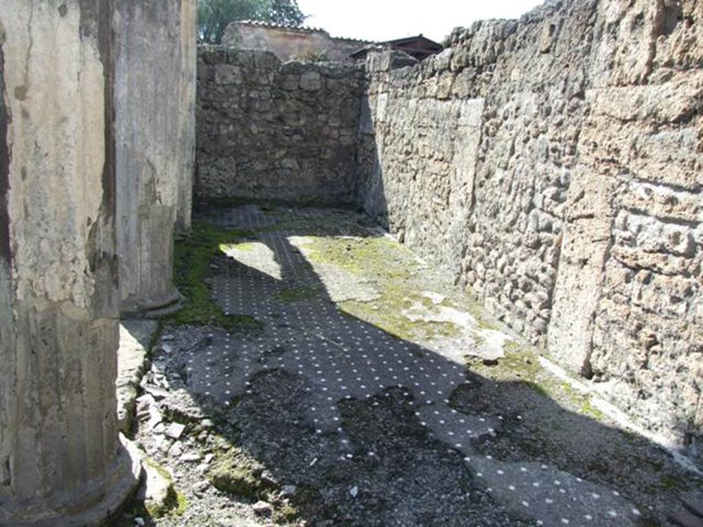 VI.8.21 Pompeii. March 2009. North side of atrium, looking west.