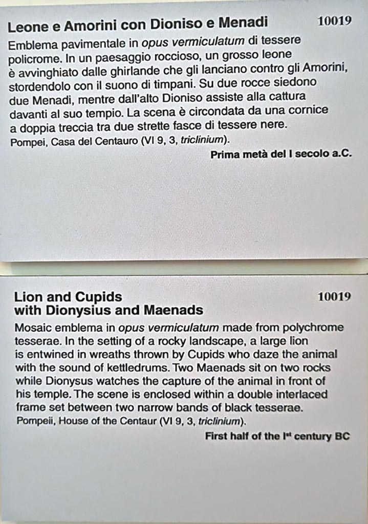 VI.9.5, Pompeii. March 2014. 
Mosaic of lion and cupids between Dionysus and maenads, on display on a wall in Naples Museum.
Found in April 1829 in triclinium 27. 
Now in Naples Archaeological Museum. Inventory number 10019.
Foto Annette Haug, ERC Grant 681269 DÉCOR.
