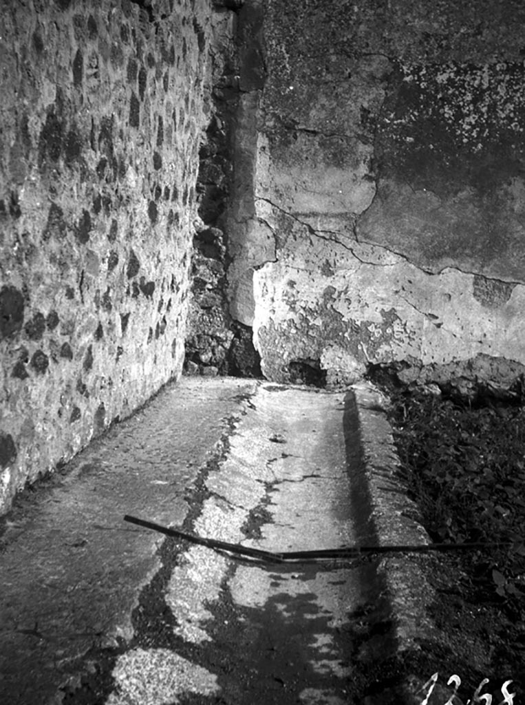 VI.9.5 Pompeii. W727. East wall of peristyle 30 detail of stucco.
Photo by Tatiana Warscher. Photo © Deutsches Archäologisches Institut, Abteilung Rom, Arkiv. 
