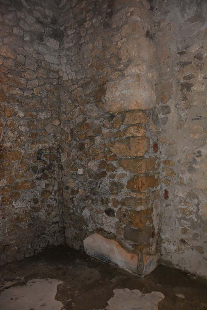 VI.11.10 Pompeii. December 2017. Room 44, detail from lower east wall.
Foto Annette Haug, ERC Grant 681269 DCOR
