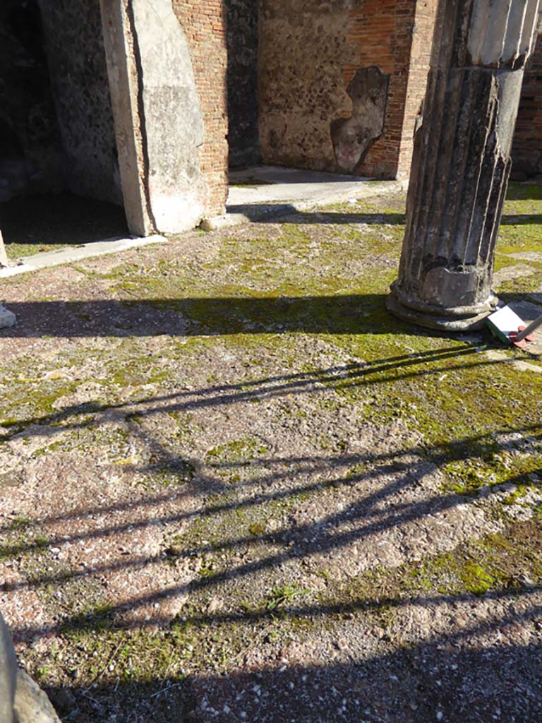 VI.12.5 Pompeii. 14th July 2017. Flooring on north-east side of Secondary Atrium 7. 
Foto Annette Haug, ERC Grant 681269 DÉCOR.
