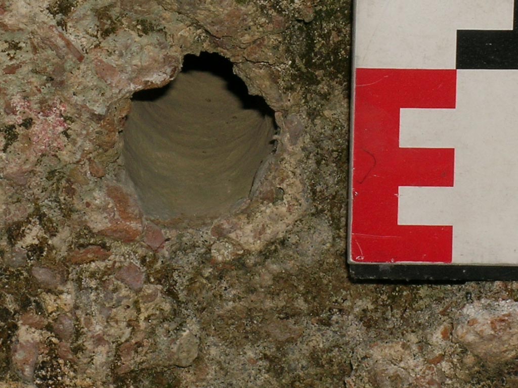 VI.14.22 Pompeii. June 2006. Room 12, detail from the middle rinsing basin. Photo courtesy of Nicolas Monteix.