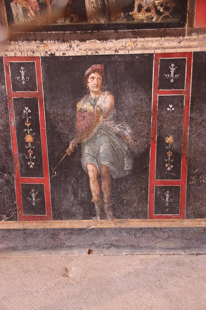 VI.15.1 Pompeii. October 2024. 
Zoccolo on lower west wall on south side of central panel with Amazon holding axe and shield. 
Photo courtesy of Klaus Heese.
