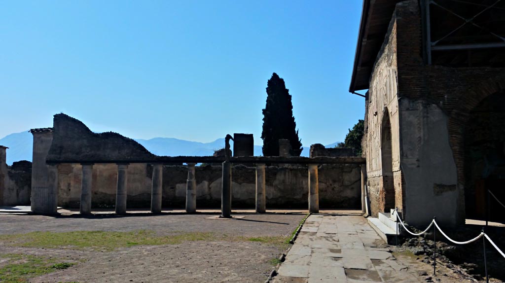 VII.1.8 Pompeii. April 2019. Swimming pool D on west side of the gymnasium C, looking north. 
Photo courtesy of Rick Bauer. 
