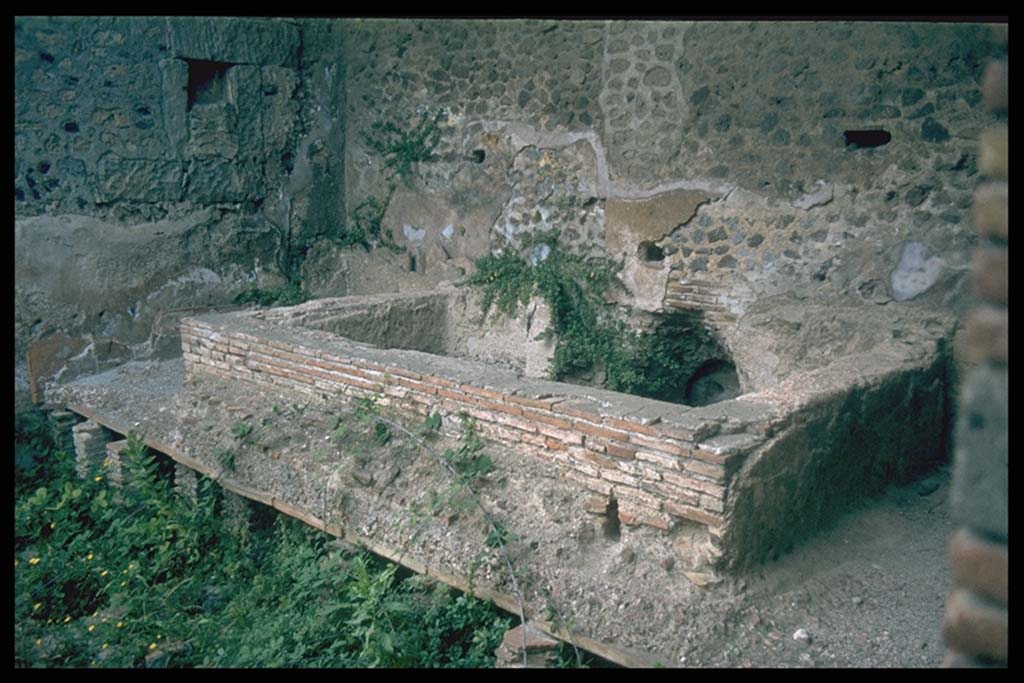 VII.1.8 Pompeii. Men’s tepidarium 3, pool against east end wall. 
Photographed 1970-79 by Günther Einhorn, picture courtesy of his son Ralf Einhorn.
