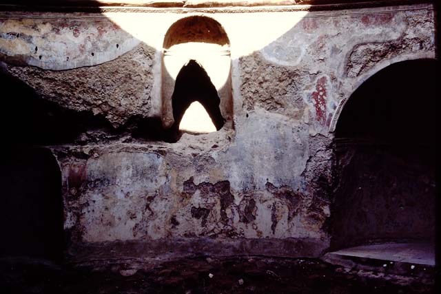 VII.1.8 Pompeii. June 2012. Frigidarium 4, remains of painted decoration between recesses. Photo courtesy of Michael Binns.