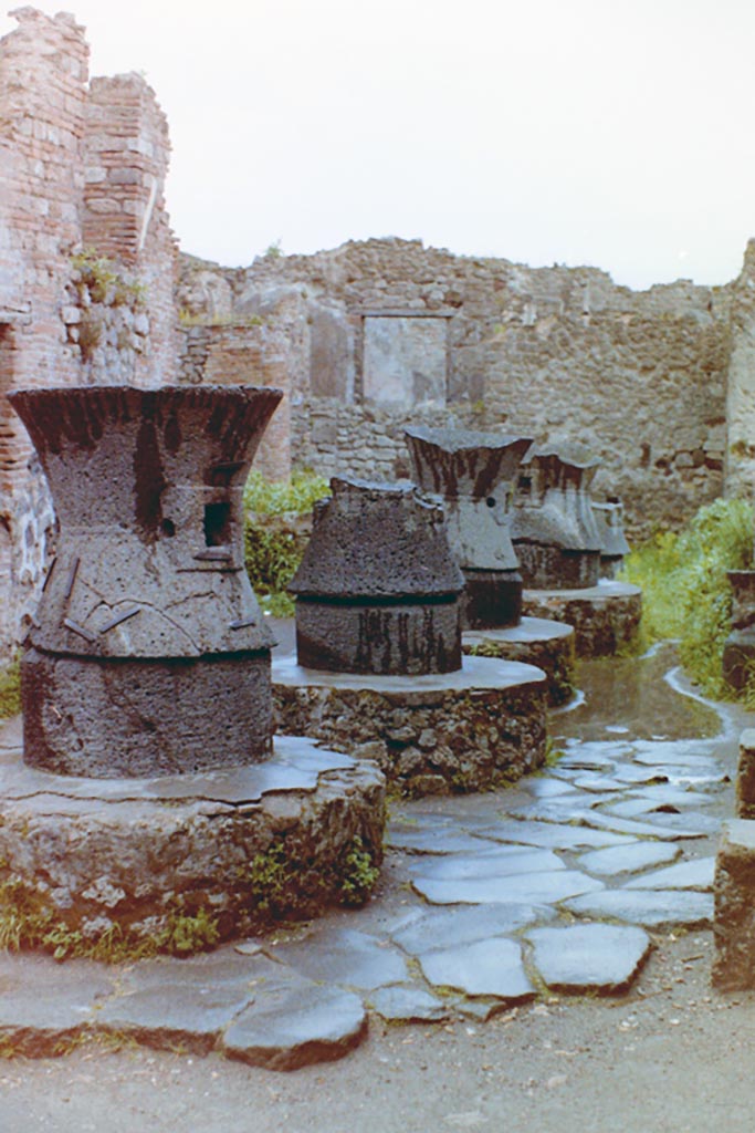 VII.2.22 Pompeii. 4th April 1980, pre-earthquake. 
Looking east along four mills in bakery. Photo courtesy of Tina Gilbert.

