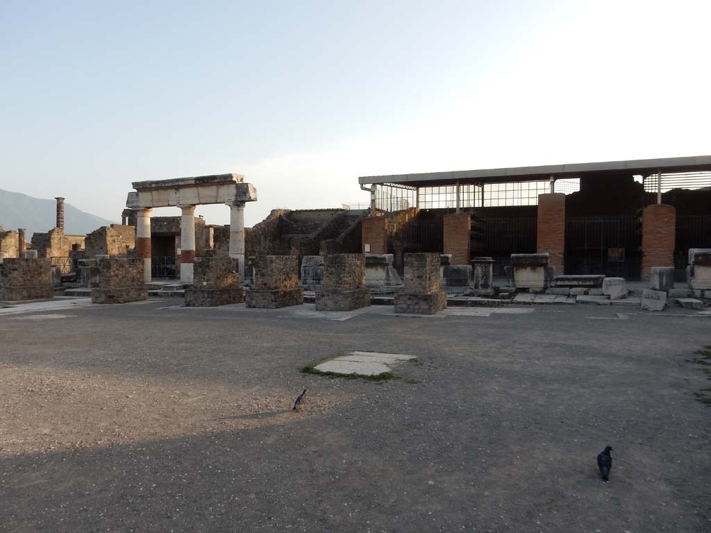VII.8 Pompeii Forum. June 2019. Looking west across Forum. Photo courtesy of Buzz Ferebee.