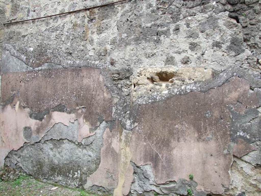 VII.11.14 Pompeii.  March 2009.  Room 7.  Tablinum. East wall.