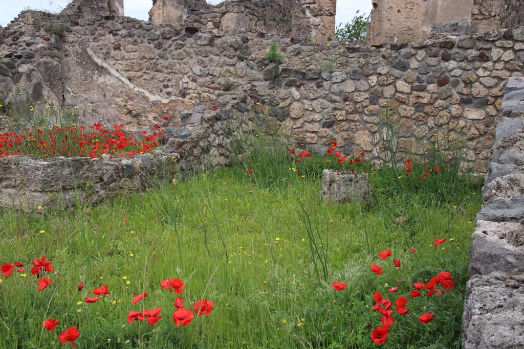 VII.16.11 Pompeii. May 2024. Looking towards north side of shop, from VII.16.10. Photo courtesy of Klaus Heese.