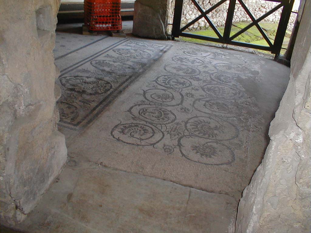 VII.16.a Pompeii. September 2005. Vestibule 8, looking west across mosaic floor, from doorway of room 6.