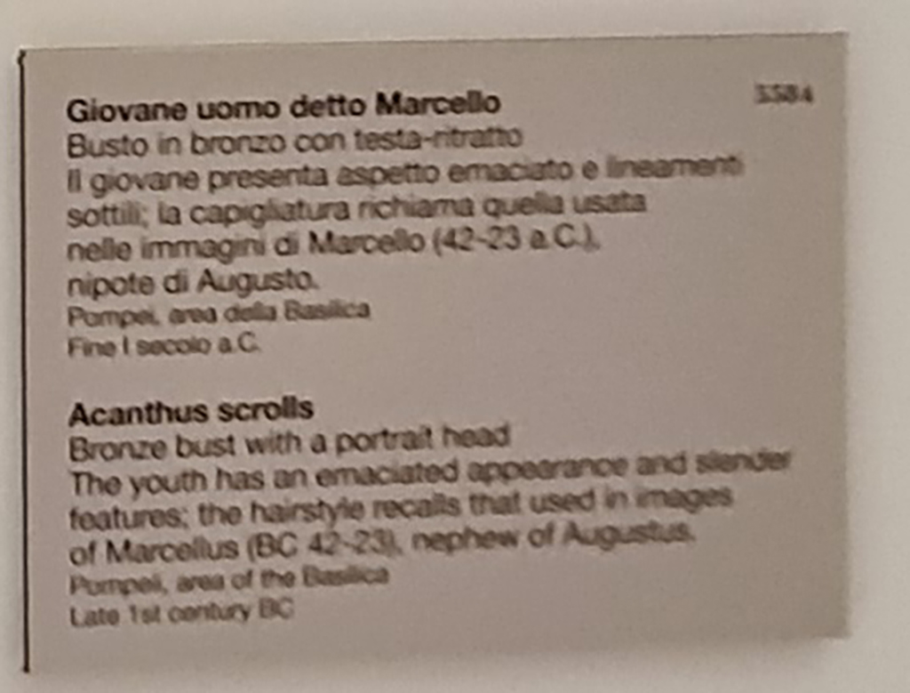 VIII.1.1 Pompeii. April 2023. Descriptive card for bronze bust of Marcellus. Photo courtesy of Giuseppe Ciaramella.
(Note: the English translation has a heading “Acanthus scrolls”, which should read “Young man said to be Marcellus”.)
