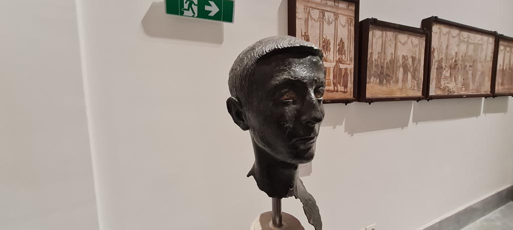 VIII.1.1 Pompeii. April 2023. 
Bronze bust of a young unknown man, found in the Basilica. On display in “Campania Romana” gallery in Naples Archaeological Museum.
Photo courtesy of Giuseppe Ciaramella.
