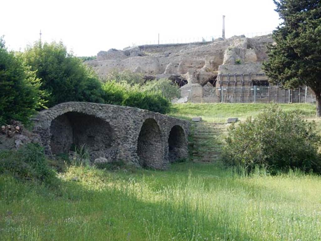 VIII.1.3 Pompeii. May 2015. Looking north-west at rear of Temple of Venus. 
Photo courtesy of Buzz Ferebee.
