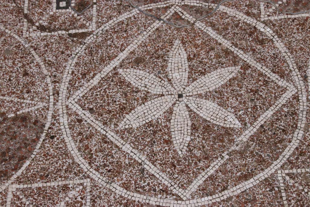 VIII.2.13 Pompeii. October 2020. Detail of six-petalled rosette in centre of mosaic. Photo courtesy of Klaus Heese.