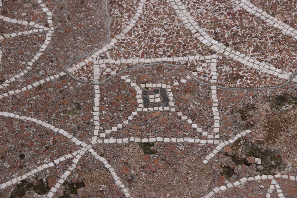 VIII.2.13 Pompeii. October 2020. Detail from mosaic in entrance corridor. Photo courtesy of Klaus Heese.