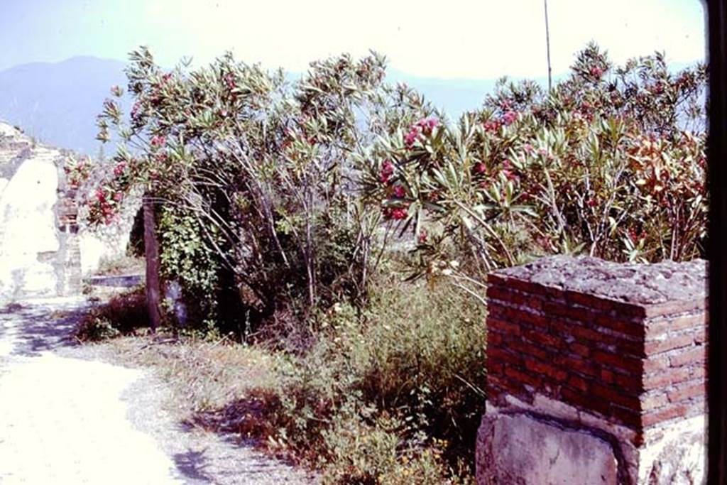 VIII.2.20 Pompeii. 1978. Looking south-east along a corridor on the north side of the small peristyle garden. Photo by Stanley A. Jashemski.   
Source: The Wilhelmina and Stanley A. Jashemski archive in the University of Maryland Library, Special Collections (See collection page) and made available under the Creative Commons Attribution-Non Commercial License v.4. See Licence and use details. J78f0232
