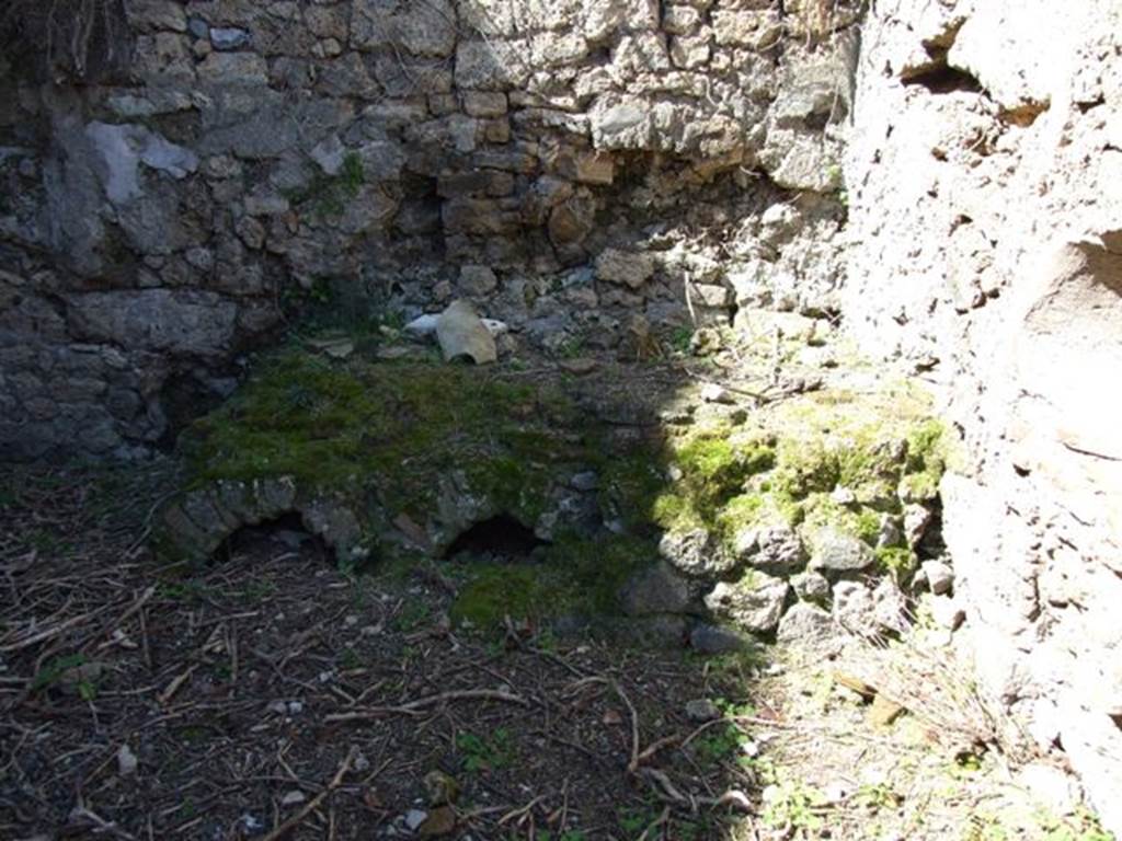 VIII.5.9 Pompeii.  March 2009.  Room 21, Kitchen.  West wall and Hearth.