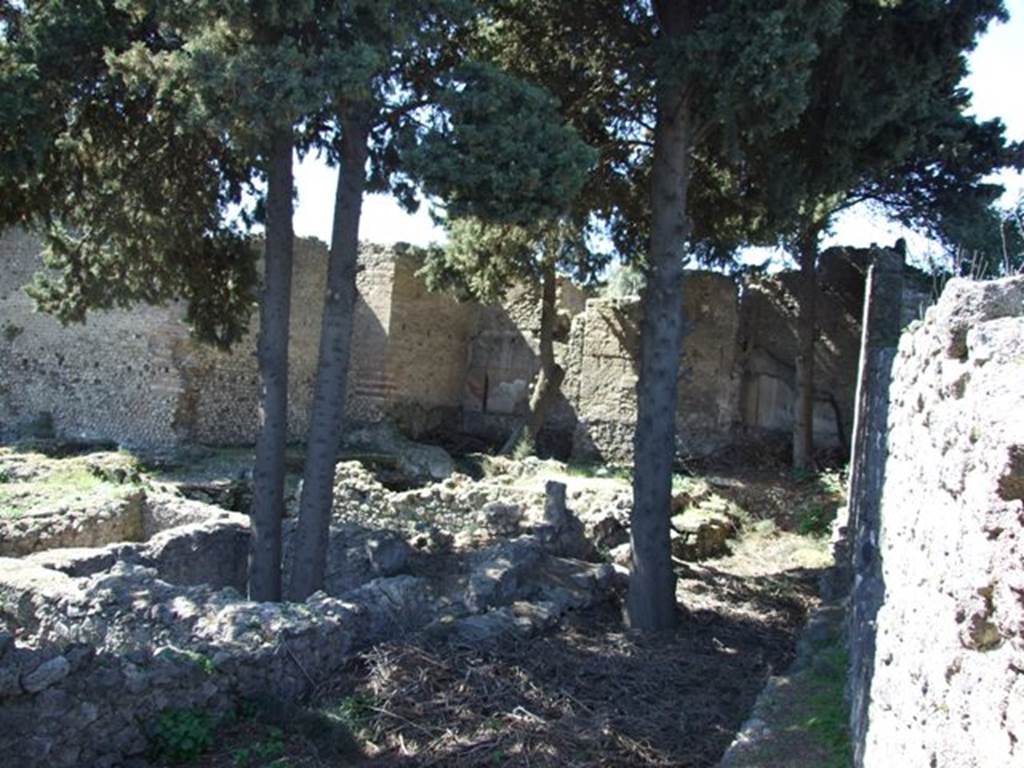 VIII.5.36 Pompeii. March 2009. 
Taken from VIII.5.28. Looking towards west side and Room VI, women’s caldarium, in centre with Room V, at its rear. 
