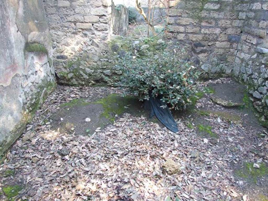 VIII.6.6 Pompeii.  March 2009.  East end with two windows,  of room on east of entrance. Looking east.