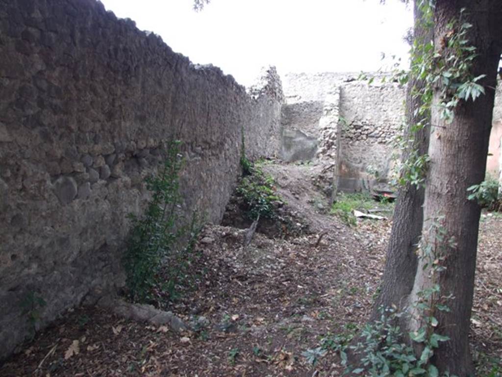 VIII.6.6 Pompeii.  Horticultural plot.  December 2007.  Looking west along south wall.