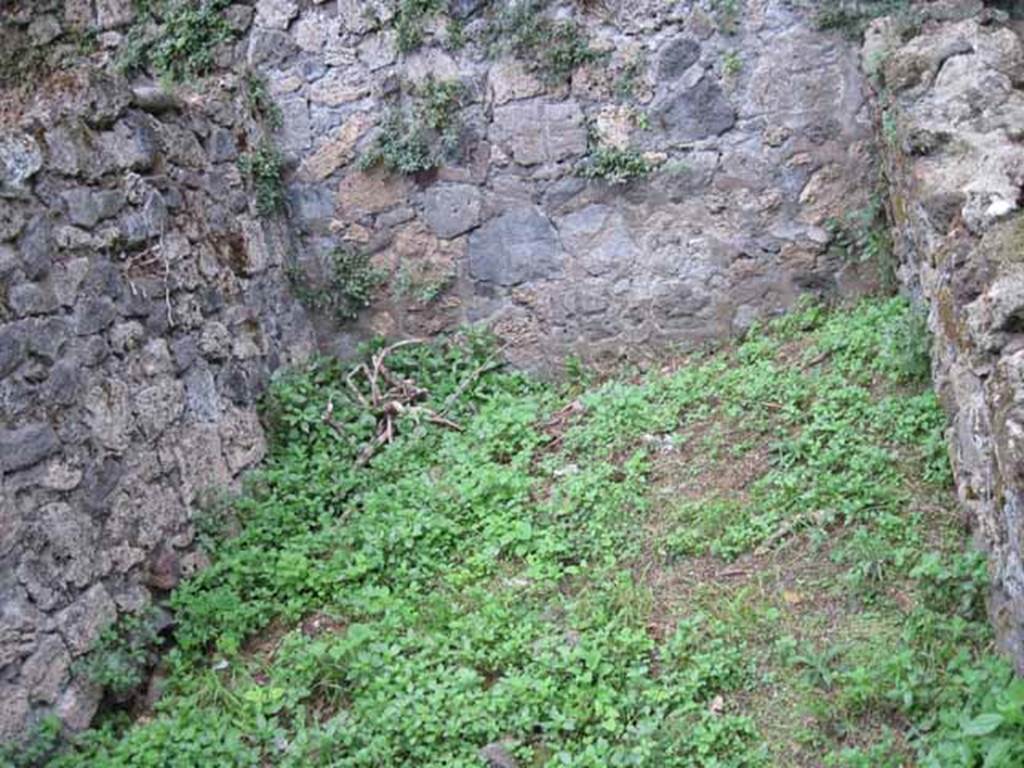 VIII.7.6 Pompeii. September 2010. Area at south end of corridor, near city wall. Photo courtesy of Drew Baker.
