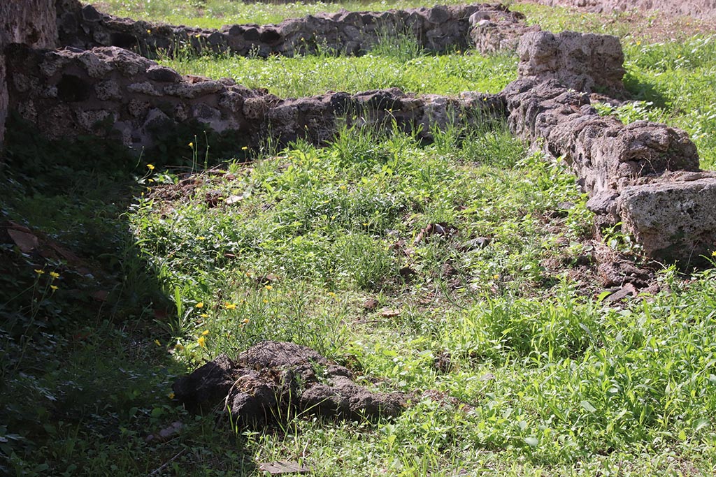 VIII.7.15 Pompeii. October 2024. 
Looking west towards site of rooms on south side of corridor, on right. Photo courtesy of Klaus Heese.
