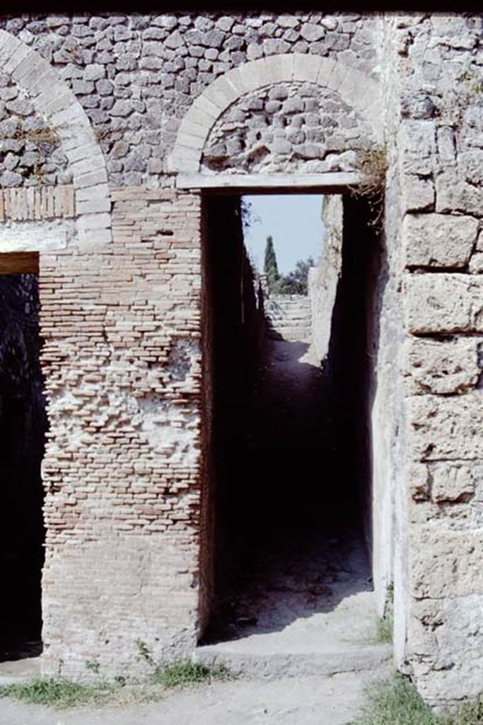 VIII.7.21 (on right) and VIII.7.20 (on left), Pompeii. 1968. Looking west towards entrances.
Photo by Stanley A. Jashemski.
Source: The Wilhelmina and Stanley A. Jashemski archive in the University of Maryland Library, Special Collections (See collection page) and made available under the Creative Commons Attribution-Non Commercial License v.4. See Licence and use details.
J68f1165
