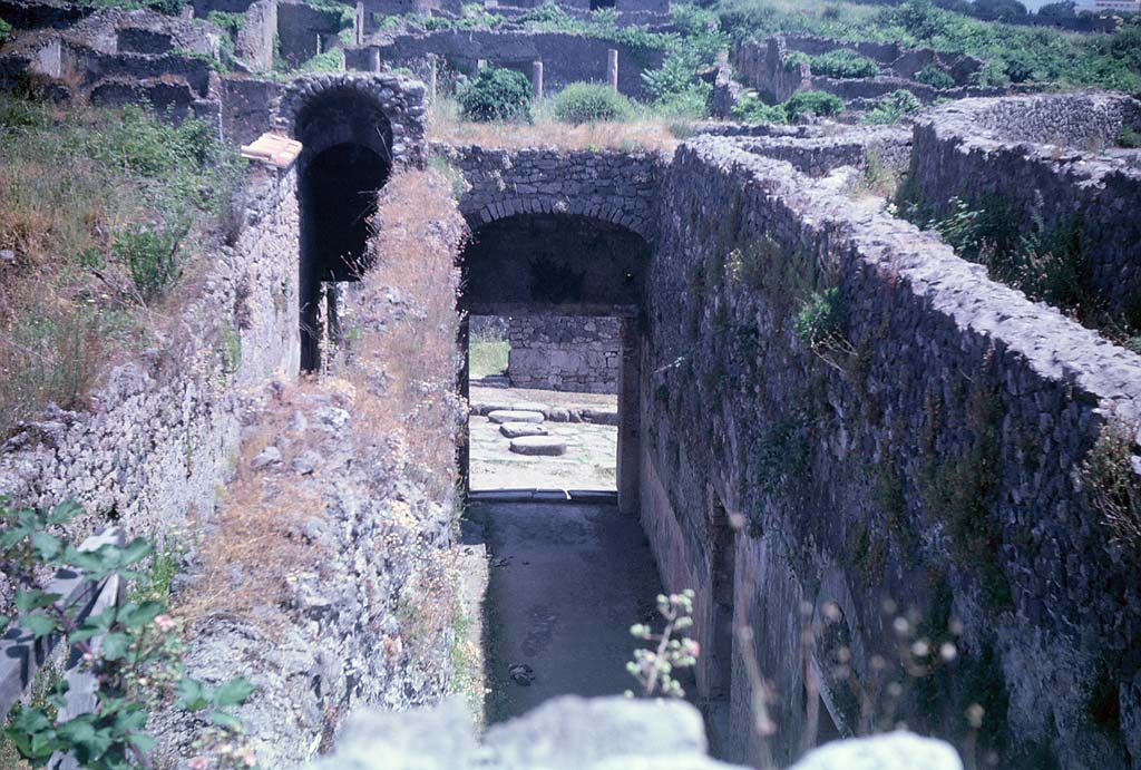 VIII.7.21 (on left) and VIII.7.20 (on right). Pompeii. 1959.  Photo by Stanley A. Jashemski.
Source: The Wilhelmina and Stanley A. Jashemski archive in the University of Maryland Library, Special Collections (See collection page) and made available under the Creative Commons Attribution-Non Commercial License v.4. See Licence and use details.
J59f0265
