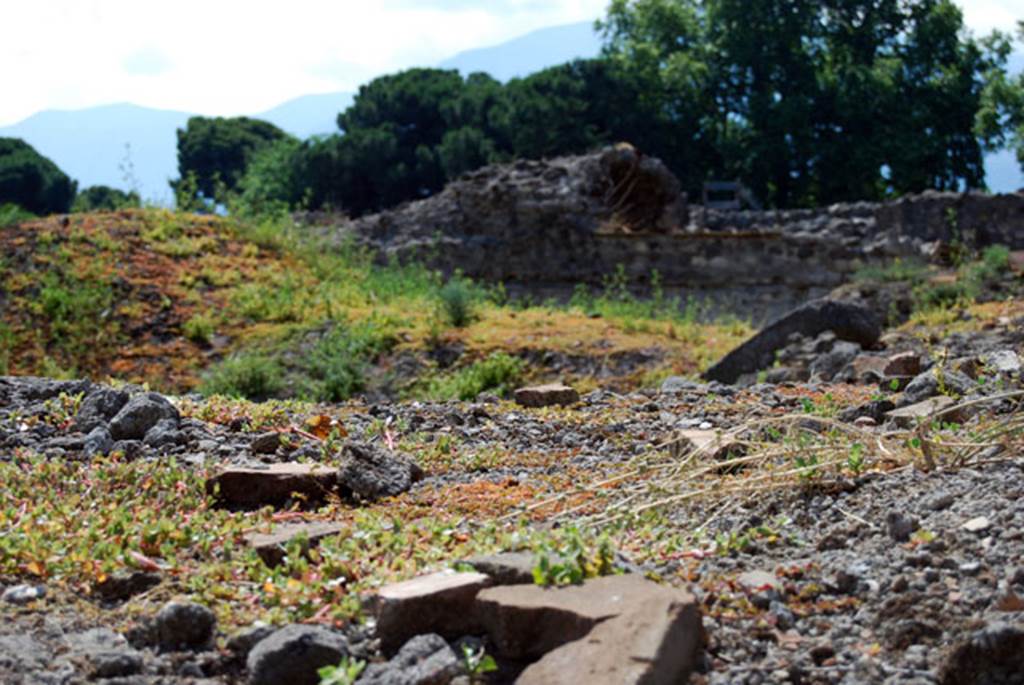 VIII.7.22 Pompeii. June 2009. Looking south across upper garden area. Photo courtesy of Sera Baker.