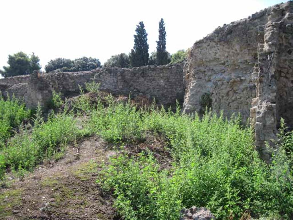 VIII.7.26 Pompeii. September 2010. West wall of garden area. Photo courtesy of Drew Baker.
According to Fiorelli, in the north-west corner of the garden area would have been the kitchen area. 
The doorway led into the kitchen with an oven above the hearth, and perhaps another small room, now fallen.
See Pappalardo, U., 2001. La Descrizione di Pompei per Giuseppe Fiorelli (1875). Napoli: Massa Editore. (p.134)

