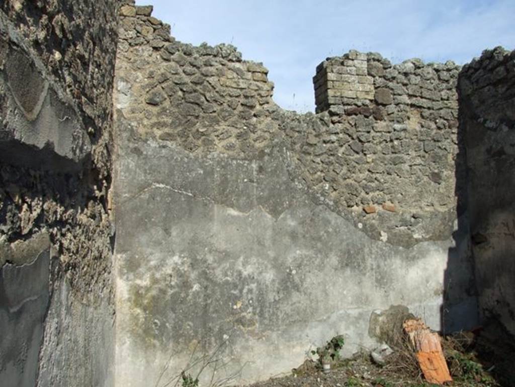 IX.2.16 Pompeii. March 2009. East wall of oecus.  