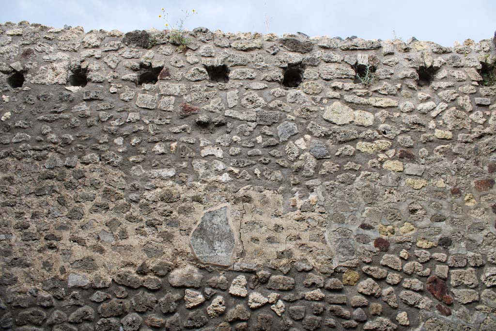 IX.5.4 Pompeii. March 2019. Room d, upper west wall.
Foto Christian Beck, ERC Grant 681269 DCOR.
