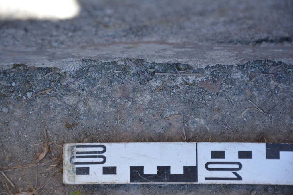 IX.5.6 Pompeii. May 2017. Room n, detail from west (left) side of doorway/upper step.
Foto Christian Beck, ERC Grant 681269 DCOR.
