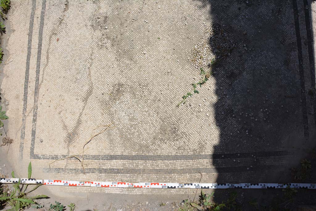 IX.5.6 Pompeii. May 2017. Room a, detail of flooring
Foto Christian Beck, ERC Grant 681269 DÉCOR.
