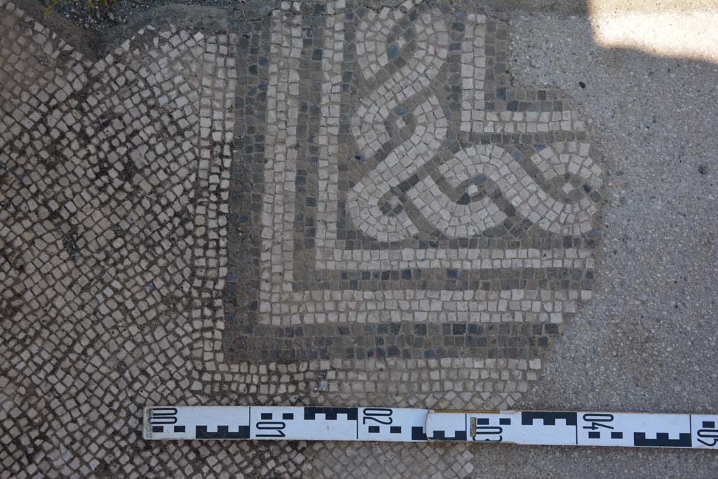 IX.5.6 Pompeii. May 2017. Atrium c’, detail of west side of mosaic on floor between rooms h and g, looking north. 
Foto Christian Beck, ERC Grant 681269 DÉCOR.


