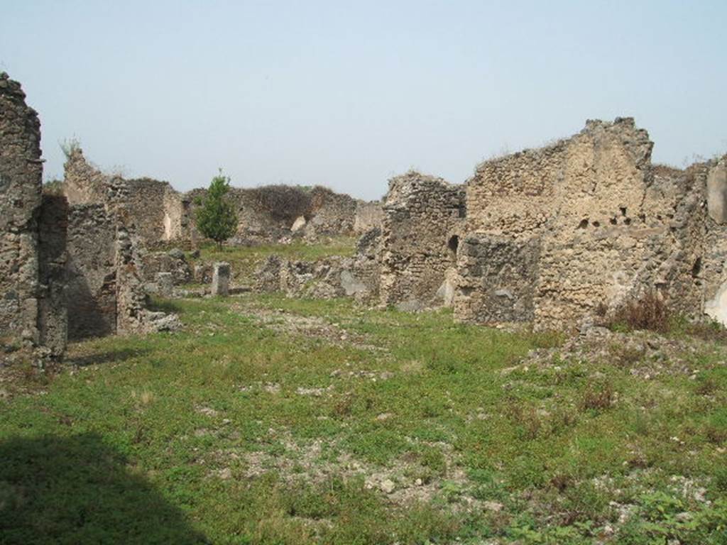 IX.6.4 and IX.6.g Pompeii. May 2005.  Looking north-west from approximate site of peristyle of IX.6.g, across site of kitchen, garden, and rooms to north of atrium of IX.6.4. On the right of the photo would have been north-west corner of peristyle of IX.6.g, and then the kitchen, and then rooms z and y.


