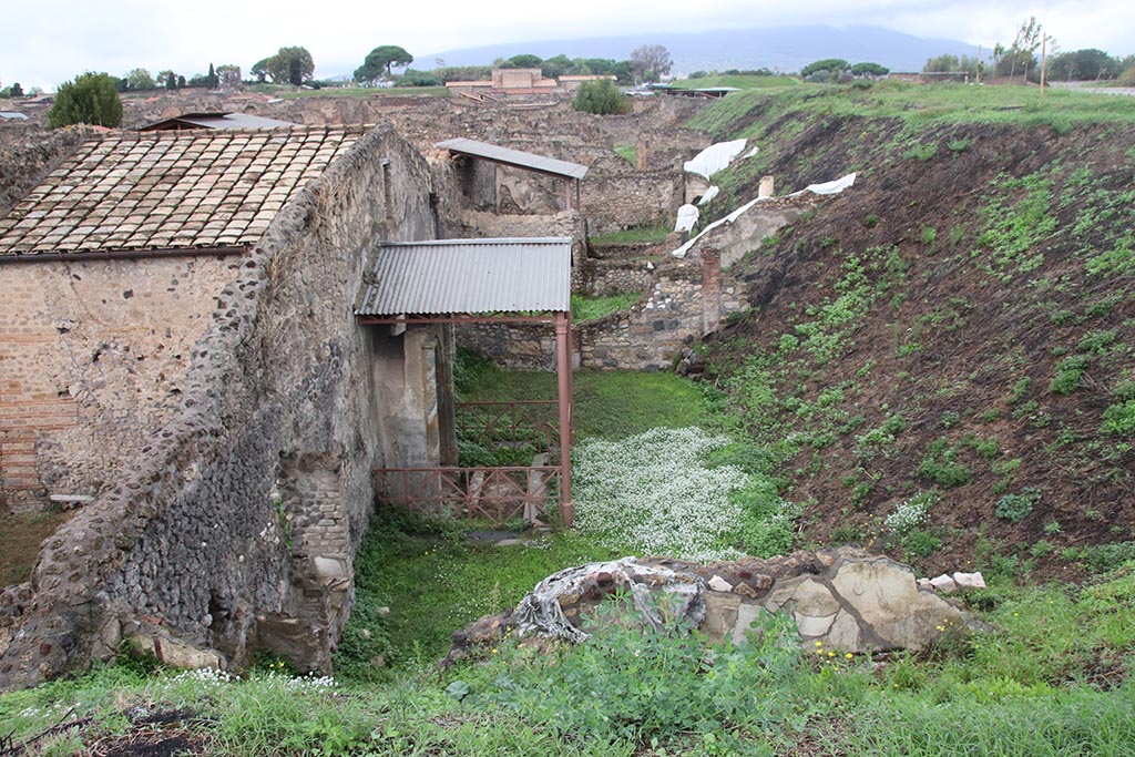 IX.7.19 Pompeii. October 2024. 
Looking north from rear of Casina dell’Aquila towards a wall emerging from the unexcavated on south side of area 8.
Photo courtesy of Klaus Heese.
