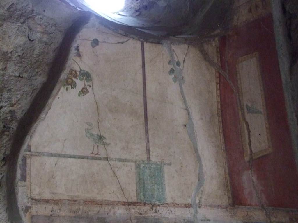 IX.9.c Pompeii.  March 2009. Cubiculum.  Upper east wall.