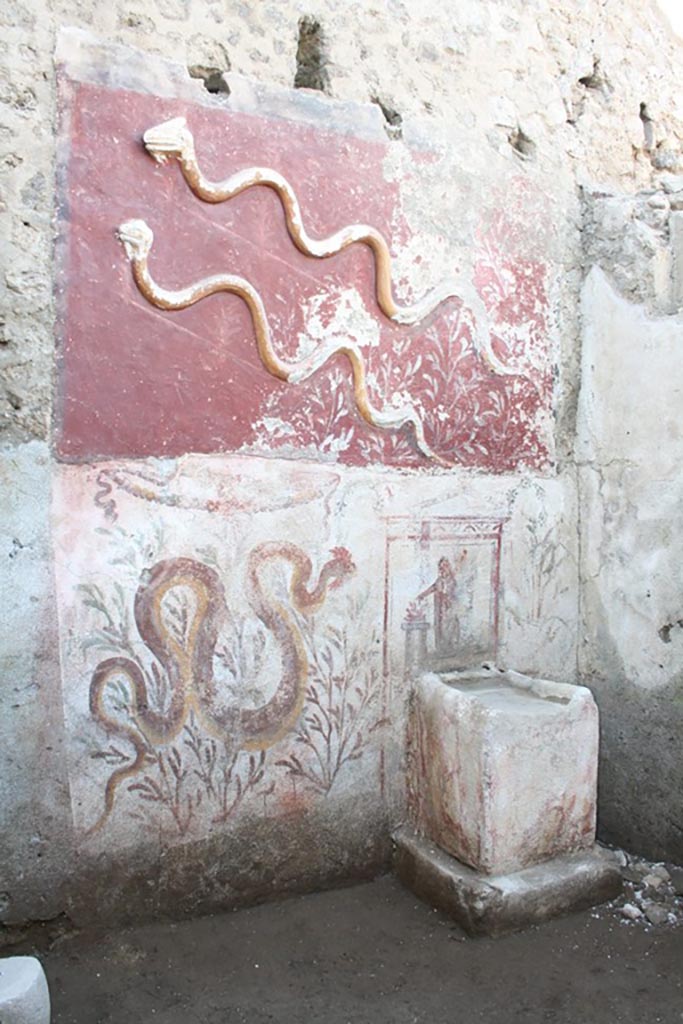 IX.10.1 Pompeii. September 2023. Lararium and altar recently found in room 12.
The lower register consists of a white background into which the masonry pulvinus altar decorated in fresco with brown faux-marble highlights is inserted. On the left side there is a fresco of a crested and bearded serpent heading towards the altar, which is surmounted by a painted rectangular aedicule terminating in vegetal whorls, and which frames the Genius patrisfamilias with cornucopia and patera making libations at a circular altar. 
The partial deterioration of the painted plaster base on which the scenes of the last phase are laid reveals, in a position off-centre from the previous one, a similar scene belonging to an older decorative phase.
Il registro inferiore è costituito da una specchiatura a fondo bianco (1,55 x 2,20 m) in cui si inserisce l’altare a pulvino in muratura (0,75 x 0,50 m) decorato ad affresco con lumeggiature brune a finto marmo. Sulla sinistra è affrescato un serpente crestato e barbato che si dirige verso l’altare (Fig. 12), sormontato da un’edicola rettangolare dipinta e terminante in girali vegetali, che inquadra il Genius patrisfamilias con cornucopia e patera che compie libagioni presso un altare circolare (Fig. 13). La parziale consunzione della base pittorica a grassello di calce su cui sono stese le scene di ultima fase lascia intravedere, in posizione decentrata rispetto alla precedente, una scena simile appartenente ad una fase decorativa più antica.
See PAP e-journal 6, 28.09.2023, p. 64, fig. 11. Download: PAP e-journals 2023 collection volumes 01-09 
Photograph © Parco Archeologico di Pompei.

