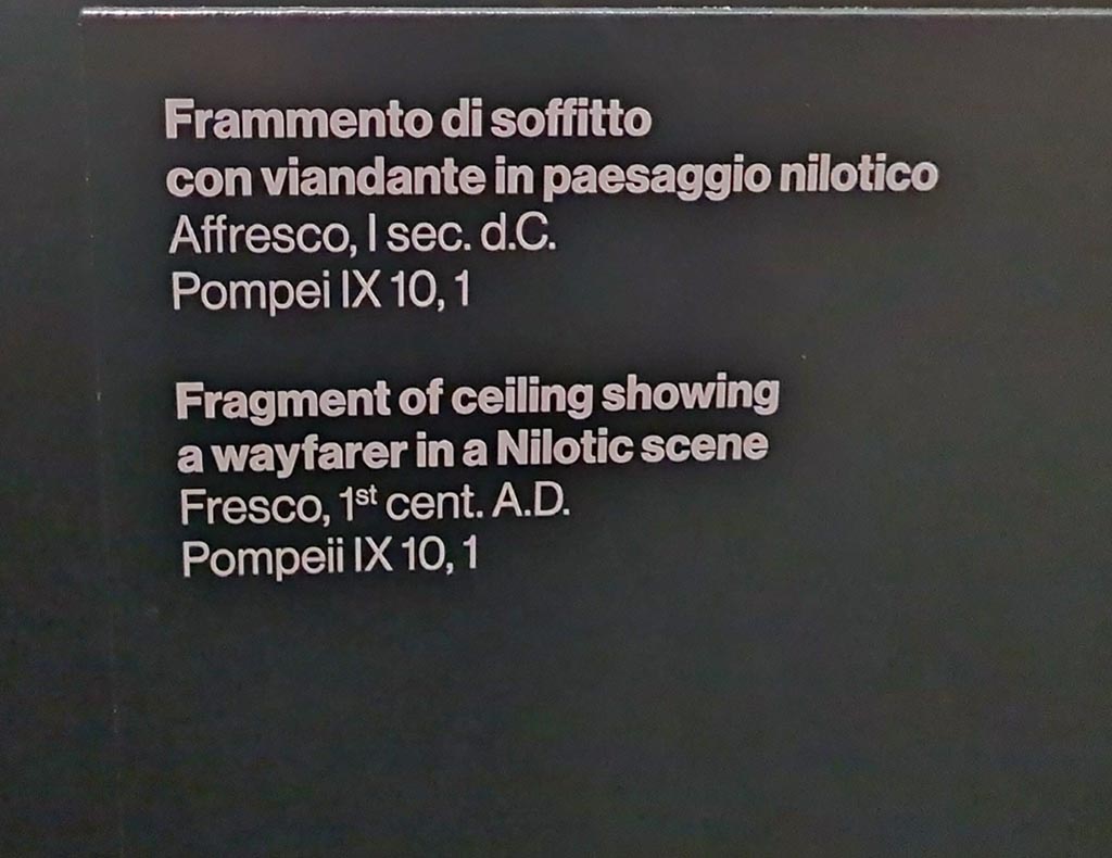 IX.10.1 Pompeii. March 2024. Information card for fragment of ceiling with painting of a Nilotic scene.
On display in an exhibition in the Palaestra entitled –
“L’altra Pompei, vite comuni all’ombra del Vesuvio”. Photo courtesy of Giuseppe Ciaramella.
