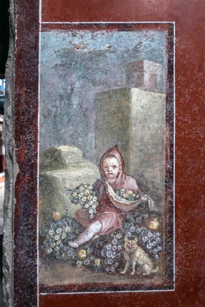 IX.12.A/IX.12.9 Pompeii. May 2024. Room 18, east wall, painting of a boy in a cloak with grapes, pome3granites and a dog. 
A Dionysian apotheosis? A memorial to the deceased son of the owner?
Photograph © Parco Archeologico di Pompei.
See E-Journal 14, 24.05.24 Regio IX, 12: Insula dei Casti Amanti, Casa dei Pittori al lavoro, Ambiente 18: nota preliminare, p. 21, fig. 36.
