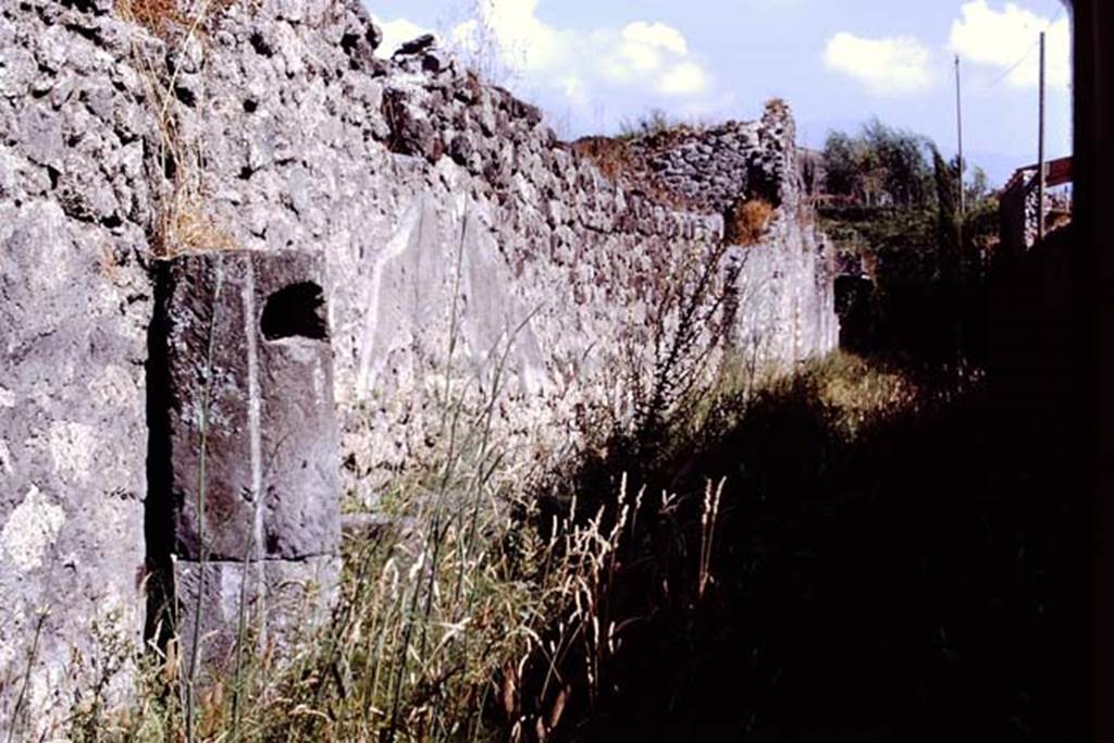 Unnamed vicolo between IX.9 and IX.8, east side, Pompeii, 1978. Looking south towards unexcavated. Photo by Stanley A. Jashemski.   
Source: The Wilhelmina and Stanley A. Jashemski archive in the University of Maryland Library, Special Collections (See collection page) and made available under the Creative Commons Attribution-Non Commercial License v.4. See Licence and use details. J78f0278
